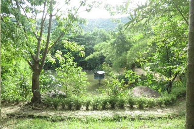 Son Tra Bamboo and Rattan Museum